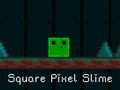 खेल Square Pixel Slime