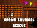 खेल Brown Squirrel Rescue