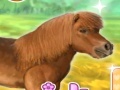 खेल My Dear Pony