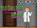 खेल Amgel Mild Challenge Escape