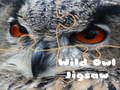 ಗೇಮ್ Wild owl Jigsaw