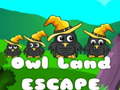 ગેમ Owl Land Escape