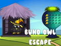 ગેમ Buho Owl Escape