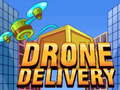 खेल Drone Delivery