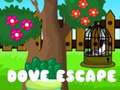 खेल Dove Escape