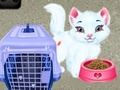 ಗೇಮ್ Baby Taylor Pet Care