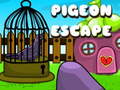 खेल Pigeon Escape