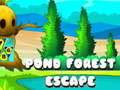 खेल Pond Forest Escape