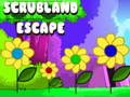 खेल Scrubland Escape