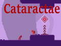 खेल Cataractae