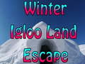 खेल Winter Igloo Land Escape 