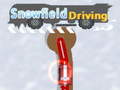 ગેમ Snowfield Driving