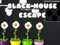 खेल Black House Escape
