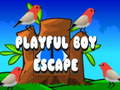 खेल Playful Boy Escape