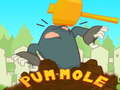 खेल Pum-Mole
