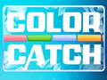 ಗೇಮ್ Color Catch
