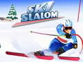 விளையாட்டு Ski Slalom