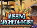 खेल Missing Archeologist