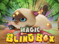 खेल Magic Blind Box