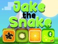 खेल Jake The Snake