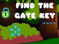 खेल Find the Gate Key