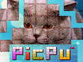 खेल PicPu Cat 