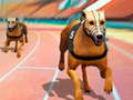 खेल Dogs3D Races