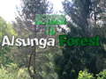 खेल Return To Alsunga Forest