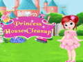 खेल Princess House Cleanup