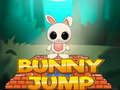खेल Bunny Jump