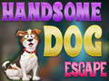 खेल Handsome Dog Escape