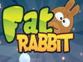 ગેમ Fat Rabbit