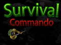 खेल Survival Commando