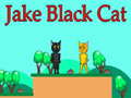 खेल Jake Black Cat