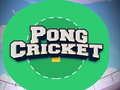 ಗೇಮ್ Pong Cricket