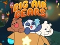 खेल Big Air Bears