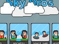 ಗೇಮ್ Sky Bros