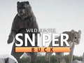 ગેમ Wild Hunter sniper buck