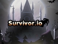 ಗೇಮ್ Survivor.io