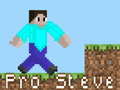 खेल Pro Steve
