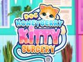 खेल Doc HoneyBerry Kitty Surgery