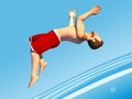 खेल Flip Divers