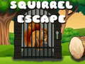 खेल Squirrel Escape