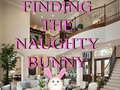 खेल Finding The Naughty Bunny