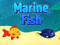 खेल Marine Fish
