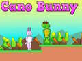 खेल Cano Bunny