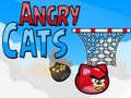 ગેમ Angry Cats