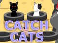 खेल Catch Cats