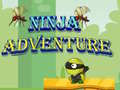 ગેમ Ninja Adventure