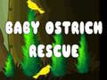 खेल Baby Ostrich Rescue